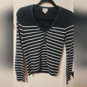J Crew Navy and White Striped V-Neck Sweater